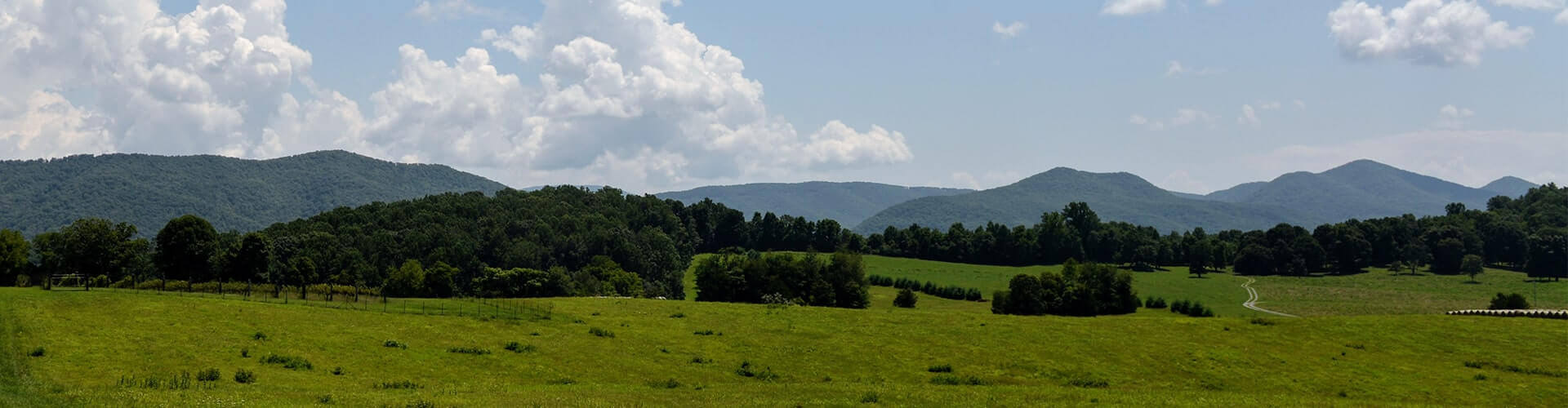 Greenbough Vineyards