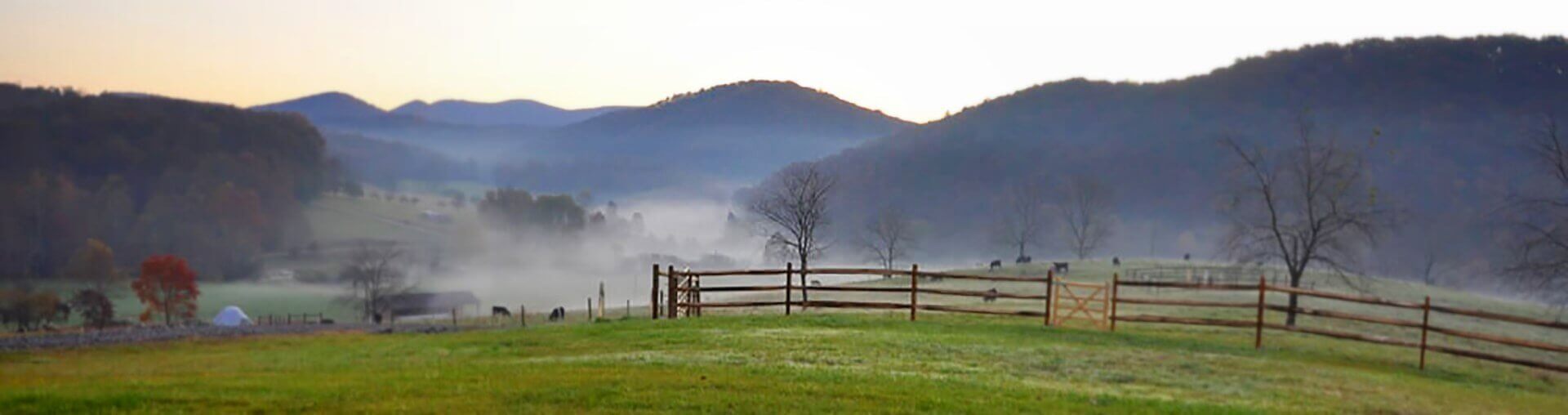 Mulberry Farm