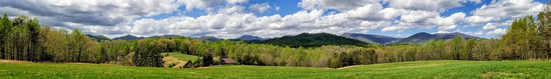 Berry Hill on the Rockfish River