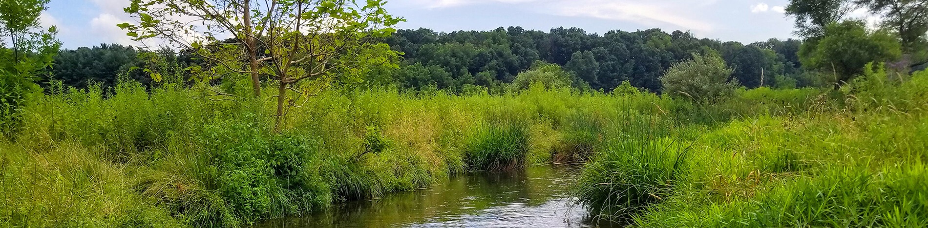 Ridge Run