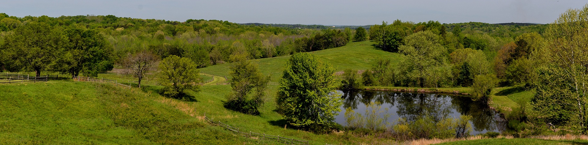 Thornhill Farm